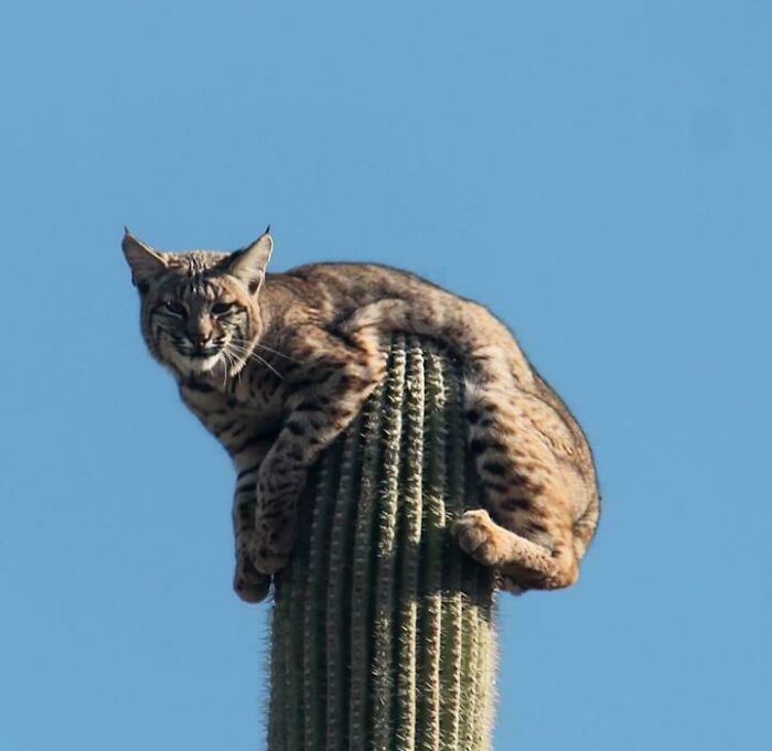 106 Awe-Inspiring Photos That Prove Nature Is Freaking Lit (New Pics) 106 Awe-Inspiring Photos That Prove Nature Is Freaking Lit (New Pics)