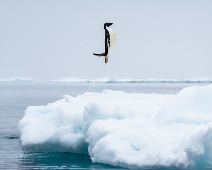 106 Awe-Inspiring Photos That Prove Nature Is Freaking Lit (New Pics) 106 Awe-Inspiring Photos That Prove Nature Is Freaking Lit (New Pics)