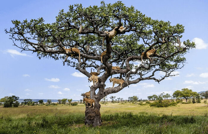 106 Awe-Inspiring Photos That Prove Nature Is Freaking Lit (New Pics) 106 Awe-Inspiring Photos That Prove Nature Is Freaking Lit (New Pics)