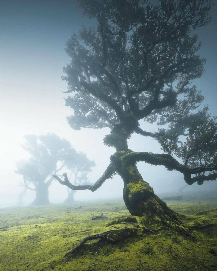 106 Awe-Inspiring Photos That Prove Nature Is Freaking Lit (New Pics) 106 Awe-Inspiring Photos That Prove Nature Is Freaking Lit (New Pics)