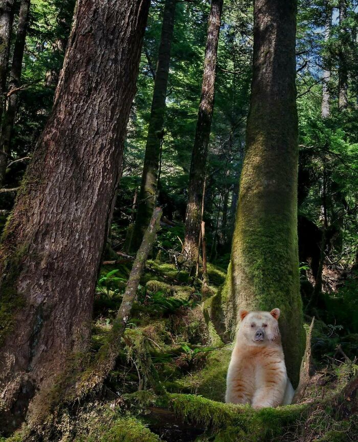 106 Awe-Inspiring Photos That Prove Nature Is Freaking Lit (New Pics) 106 Awe-Inspiring Photos That Prove Nature Is Freaking Lit (New Pics)