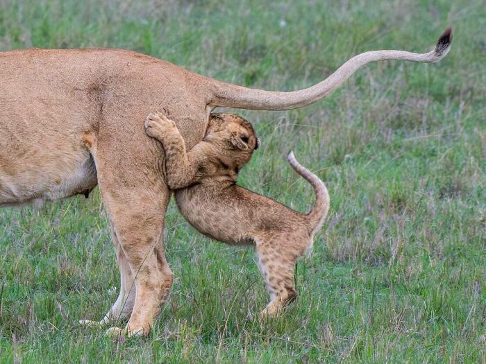 106 Awe-Inspiring Photos That Prove Nature Is Freaking Lit (New Pics) 106 Awe-Inspiring Photos That Prove Nature Is Freaking Lit (New Pics)