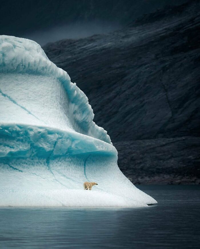 106 Awe-Inspiring Photos That Prove Nature Is Freaking Lit (New Pics) 106 Awe-Inspiring Photos That Prove Nature Is Freaking Lit (New Pics)