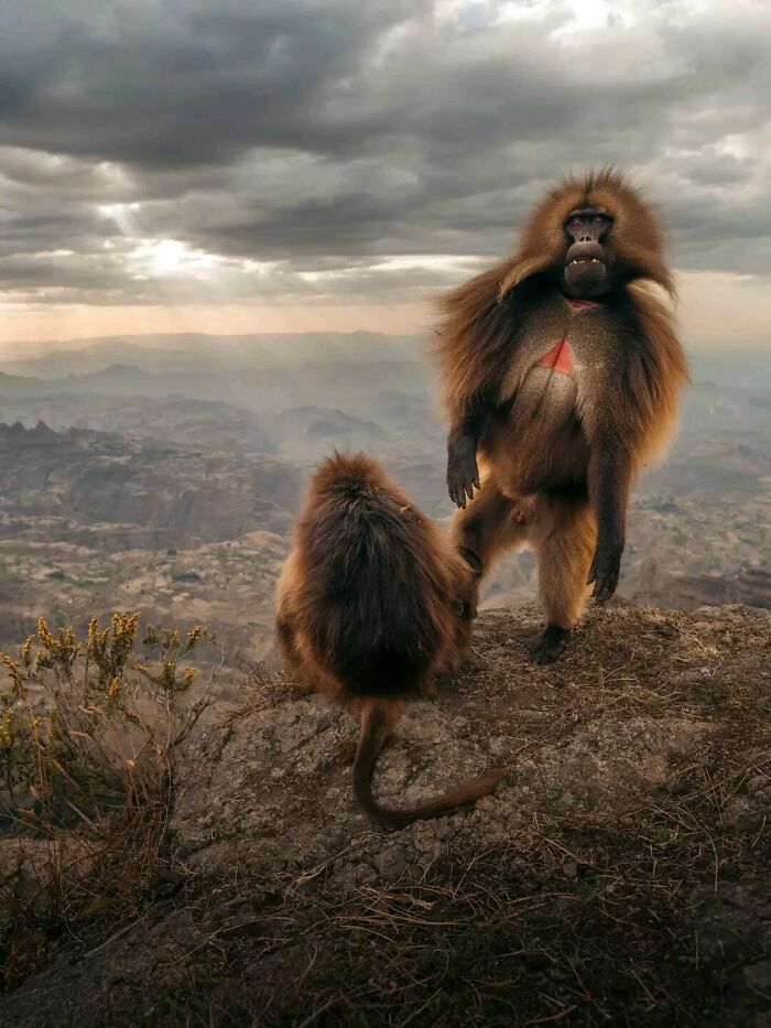 106 Awe-Inspiring Photos That Prove Nature Is Freaking Lit (New Pics) 106 Awe-Inspiring Photos That Prove Nature Is Freaking Lit (New Pics)