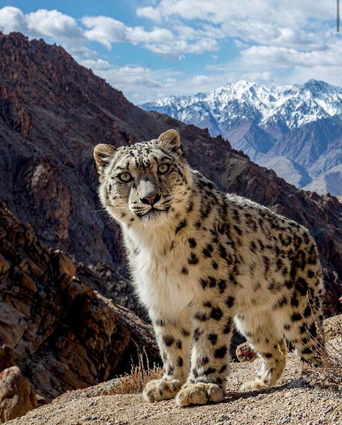 106 Awe-Inspiring Photos That Prove Nature Is Freaking Lit (New Pics) 106 Awe-Inspiring Photos That Prove Nature Is Freaking Lit (New Pics)