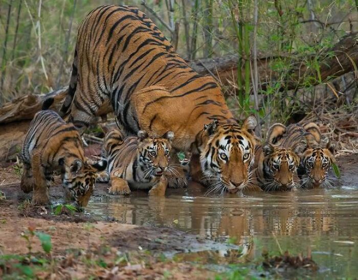106 Awe-Inspiring Photos That Prove Nature Is Freaking Lit (New Pics) 106 Awe-Inspiring Photos That Prove Nature Is Freaking Lit (New Pics)
