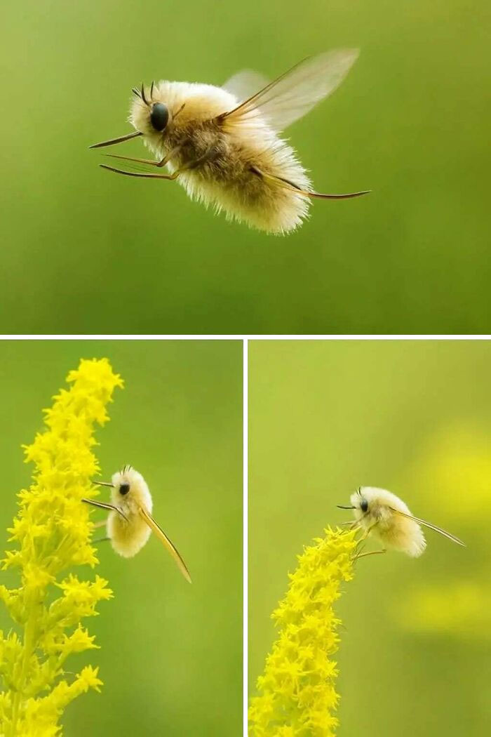 106 Awe-Inspiring Photos That Prove Nature Is Freaking Lit (New Pics) 106 Awe-Inspiring Photos That Prove Nature Is Freaking Lit (New Pics)