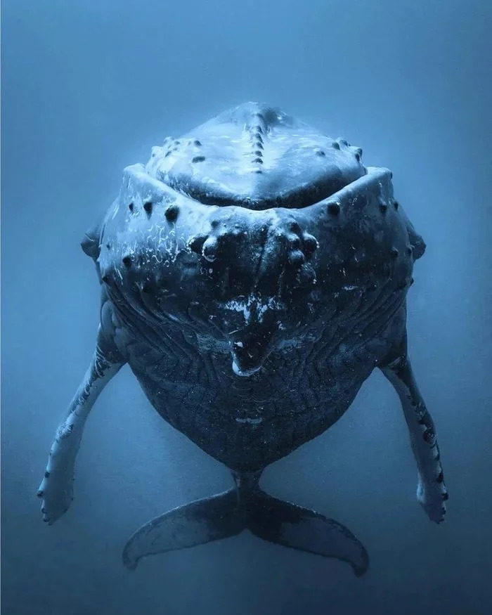 106 Awe-Inspiring Photos That Prove Nature Is Freaking Lit (New Pics) 106 Awe-Inspiring Photos That Prove Nature Is Freaking Lit (New Pics)