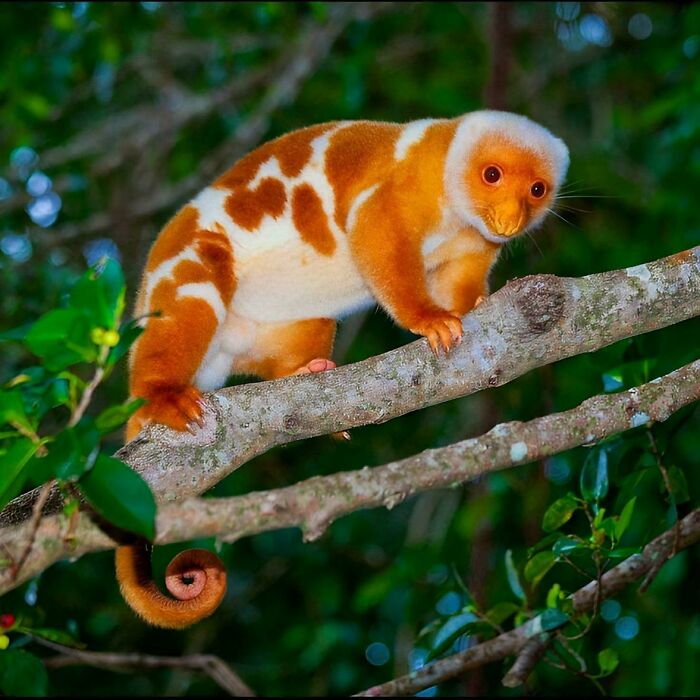 106 Awe-Inspiring Photos That Prove Nature Is Freaking Lit (New Pics) 106 Awe-Inspiring Photos That Prove Nature Is Freaking Lit (New Pics)