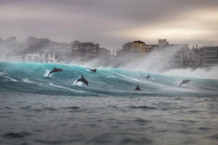 106 Awe-Inspiring Photos That Prove Nature Is Freaking Lit (New Pics) 106 Awe-Inspiring Photos That Prove Nature Is Freaking Lit (New Pics)