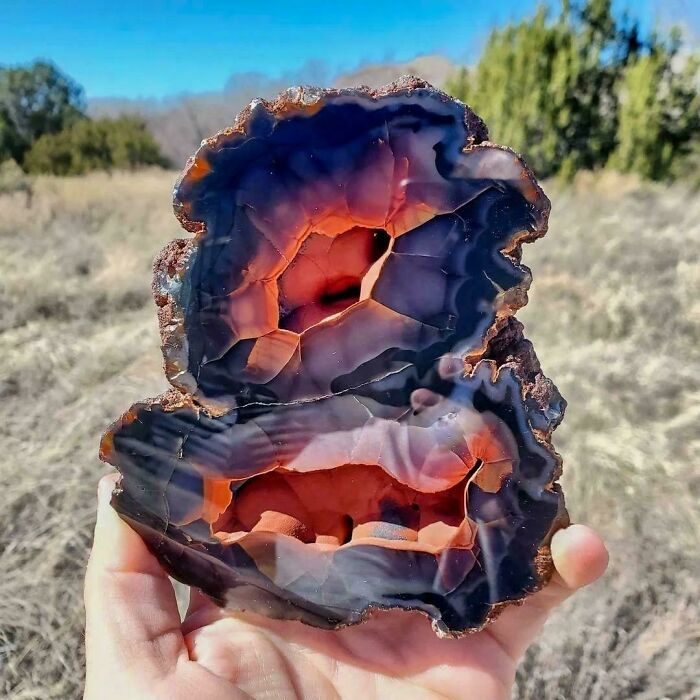 106 Awe-Inspiring Photos That Prove Nature Is Freaking Lit (New Pics) 106 Awe-Inspiring Photos That Prove Nature Is Freaking Lit (New Pics)