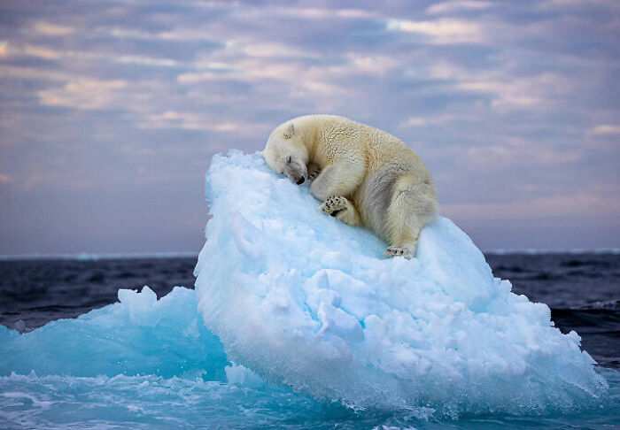 106 Awe-Inspiring Photos That Prove Nature Is Freaking Lit (New Pics) 106 Awe-Inspiring Photos That Prove Nature Is Freaking Lit (New Pics)