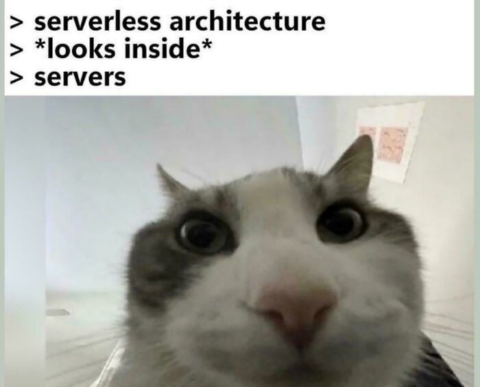 99 Funny Programmer Memes For Tired Devs And Computer Nerds (New Pics) 99 Funny Programmer Memes For Tired Devs And Computer Nerds (New Pics)