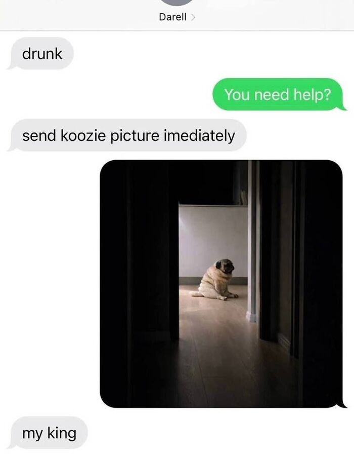 90 Hilarious Texts That Might Make You Cringe Or Cry-Laugh 90 Hilarious Texts That Might Make You Cringe Or Cry-Laugh