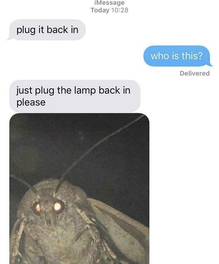 90 Hilarious Texts That Might Make You Cringe Or Cry-Laugh 90 Hilarious Texts That Might Make You Cringe Or Cry-Laugh