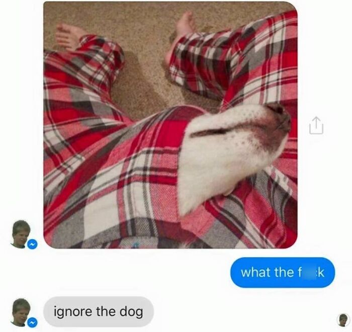90 Hilarious Texts That Might Make You Cringe Or Cry-Laugh 90 Hilarious Texts That Might Make You Cringe Or Cry-Laugh
