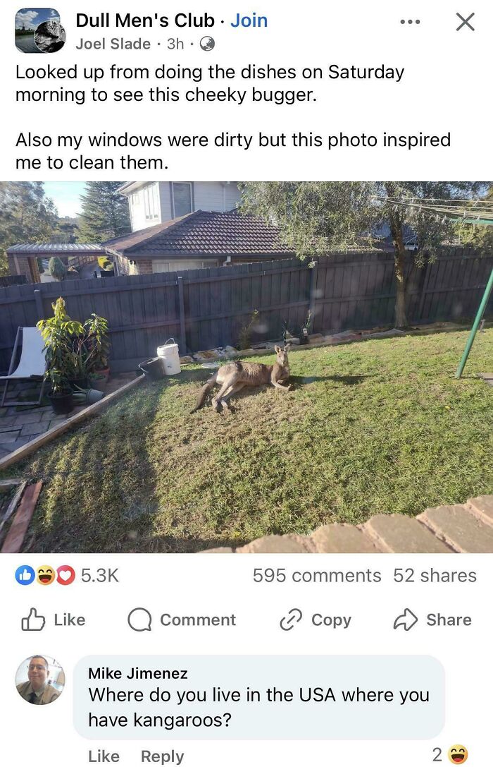 81 Photos That Are All The Evidence You Need To Realize Americans Might Be The Most Stupid Nation 81 Photos That Are All The Evidence You Need To Realize Americans Might Be The Most Stupid Nation