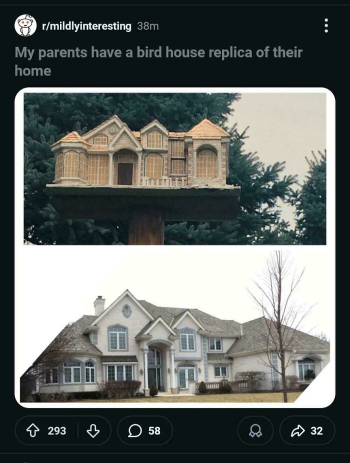 52 Times People Took Inspiration From Mansions But What They&rsquo;ve Built Was A Version From Temu