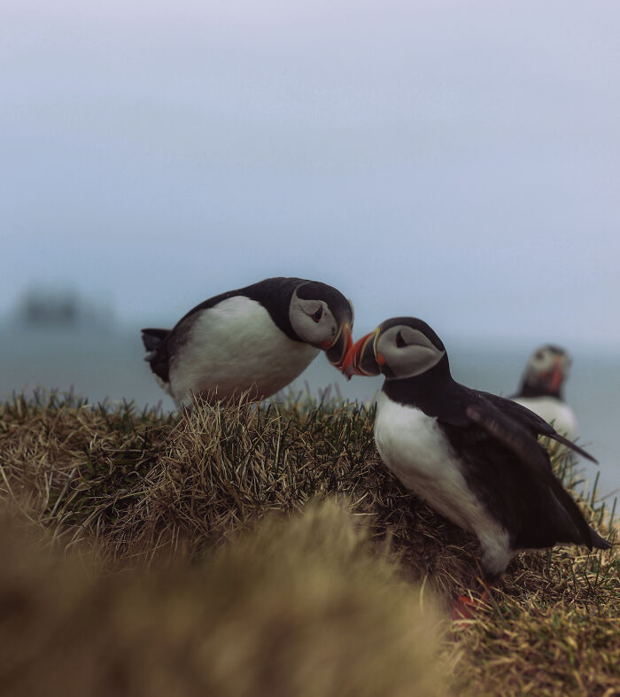 36 Incredible Bird Shots From The 2026 Academy Photo Awards 36 Incredible Bird Shots From The 2026 Academy Photo Awards
