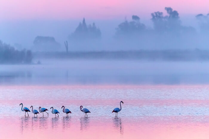 36 Incredible Bird Shots From The 2026 Academy Photo Awards 36 Incredible Bird Shots From The 2026 Academy Photo Awards