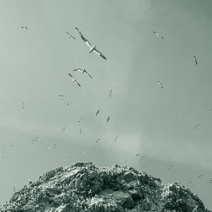 36 Incredible Bird Shots From The 2026 Academy Photo Awards 36 Incredible Bird Shots From The 2026 Academy Photo Awards
