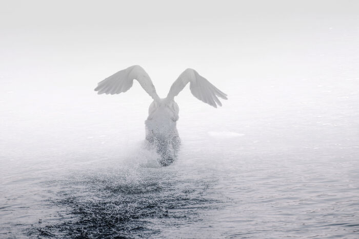 36 Incredible Bird Shots From The 2026 Academy Photo Awards 36 Incredible Bird Shots From The 2026 Academy Photo Awards