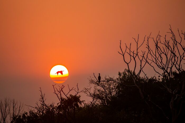 36 Incredible Bird Shots From The 2026 Academy Photo Awards 36 Incredible Bird Shots From The 2026 Academy Photo Awards