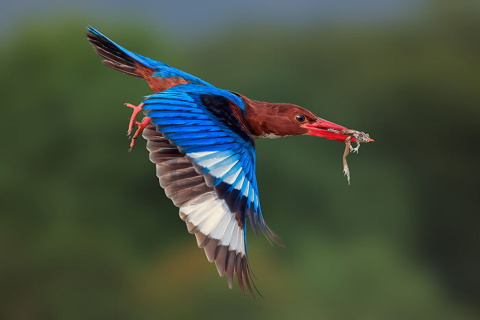 36 Incredible Bird Shots From The 2026 Academy Photo Awards 36 Incredible Bird Shots From The 2026 Academy Photo Awards