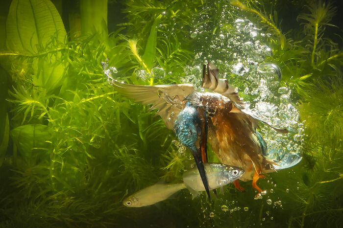 36 Incredible Bird Shots From The 2026 Academy Photo Awards 36 Incredible Bird Shots From The 2026 Academy Photo Awards
