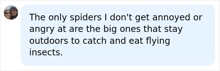 Tennis Ball-Sized Spiders Are About To Invade UK Homes And Here Is How To Keep Them Out