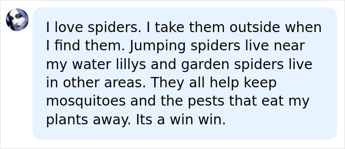 Tennis Ball-Sized Spiders Are About To Invade UK Homes And Here Is How To Keep Them Out