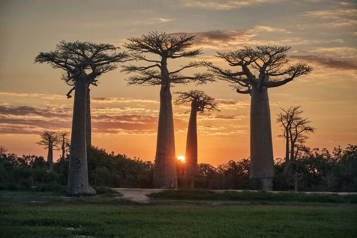 24 Travel Photos Awarded By The Artist Gallery That Capture Remarkable Places And People