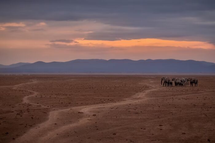 24 Travel Photos Awarded By The Artist Gallery That Capture Remarkable Places And People