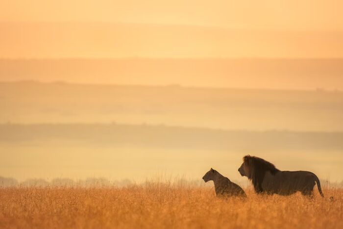 24 Travel Photos Awarded By The Artist Gallery That Capture Remarkable Places And People