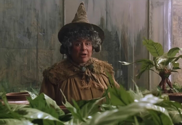 Major Backlash After TV Network Cuts &lsquo;Harry Potter&rsquo; Star&rsquo;s Appalling Remark About Host&rsquo;s Skin