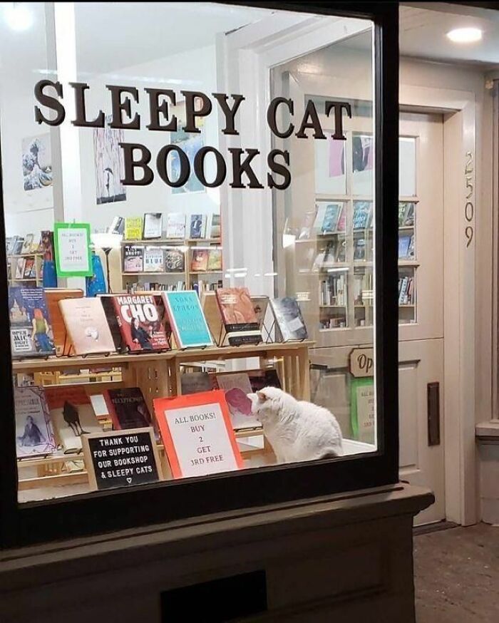 44 Hilarious Cats At Work Who Took Their Careers Very Seriously, As Shared By This Page
