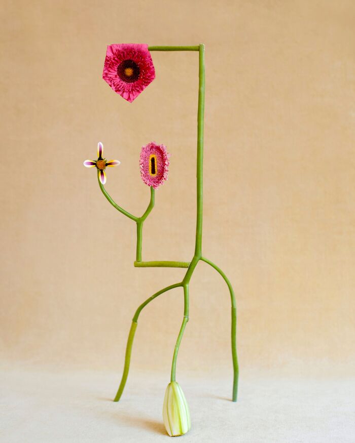 26 Intricate Flower Compositions That Resisted Ephemerality Through Jennifer Latour’s Photography 26 Intricate Flower Compositions That Resisted Ephemerality Through Jennifer Latour’s Photography