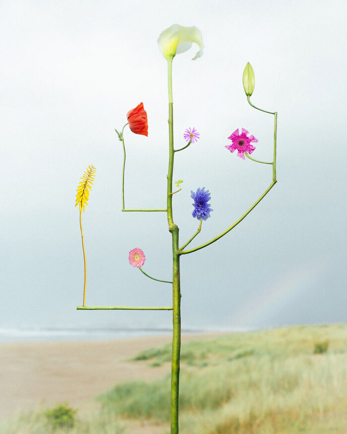 26 Intricate Flower Compositions That Resisted Ephemerality Through Jennifer Latour’s Photography 26 Intricate Flower Compositions That Resisted Ephemerality Through Jennifer Latour’s Photography