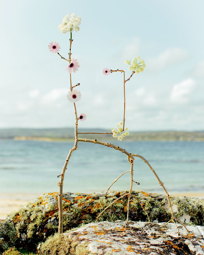 26 Intricate Flower Compositions That Resisted Ephemerality Through Jennifer Latour’s Photography 26 Intricate Flower Compositions That Resisted Ephemerality Through Jennifer Latour’s Photography