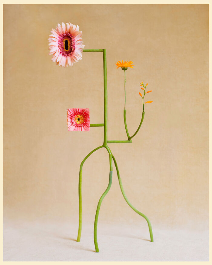 26 Intricate Flower Compositions That Resisted Ephemerality Through Jennifer Latour’s Photography 26 Intricate Flower Compositions That Resisted Ephemerality Through Jennifer Latour’s Photography