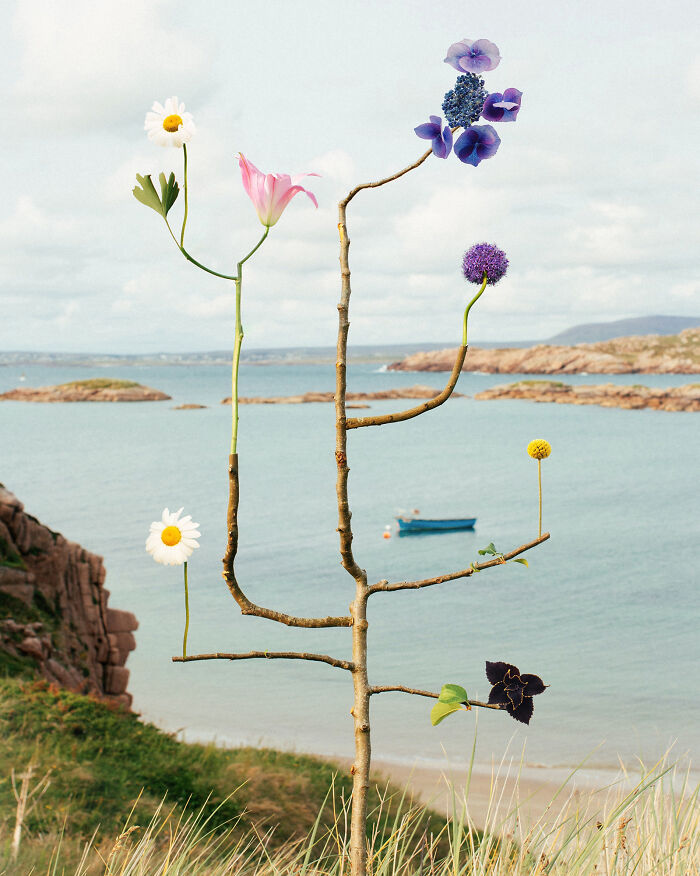 26 Intricate Flower Compositions That Resisted Ephemerality Through Jennifer Latour’s Photography 26 Intricate Flower Compositions That Resisted Ephemerality Through Jennifer Latour’s Photography