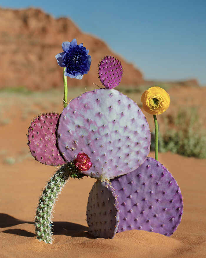 26 Intricate Flower Compositions That Resisted Ephemerality Through Jennifer Latour’s Photography 26 Intricate Flower Compositions That Resisted Ephemerality Through Jennifer Latour’s Photography