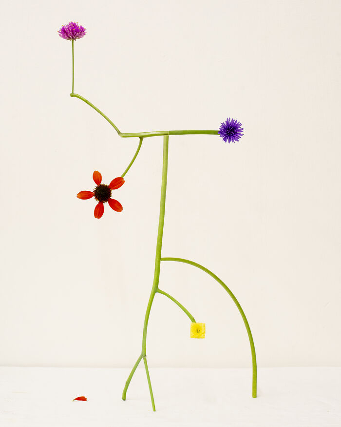 26 Intricate Flower Compositions That Resisted Ephemerality Through Jennifer Latour’s Photography 26 Intricate Flower Compositions That Resisted Ephemerality Through Jennifer Latour’s Photography