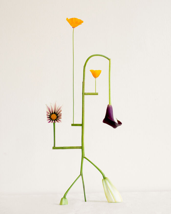 26 Intricate Flower Compositions That Resisted Ephemerality Through Jennifer Latour’s Photography 26 Intricate Flower Compositions That Resisted Ephemerality Through Jennifer Latour’s Photography