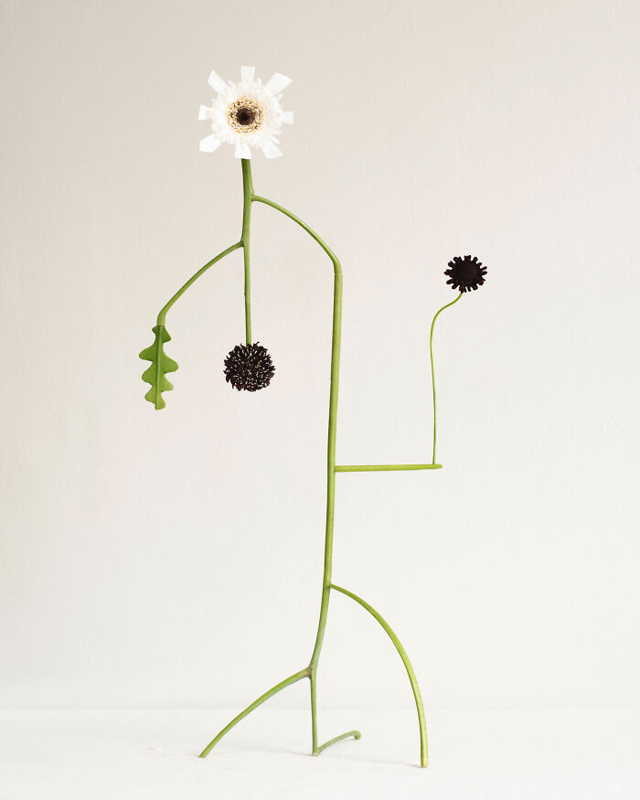 26 Intricate Flower Compositions That Resisted Ephemerality Through Jennifer Latour’s Photography 26 Intricate Flower Compositions That Resisted Ephemerality Through Jennifer Latour’s Photography