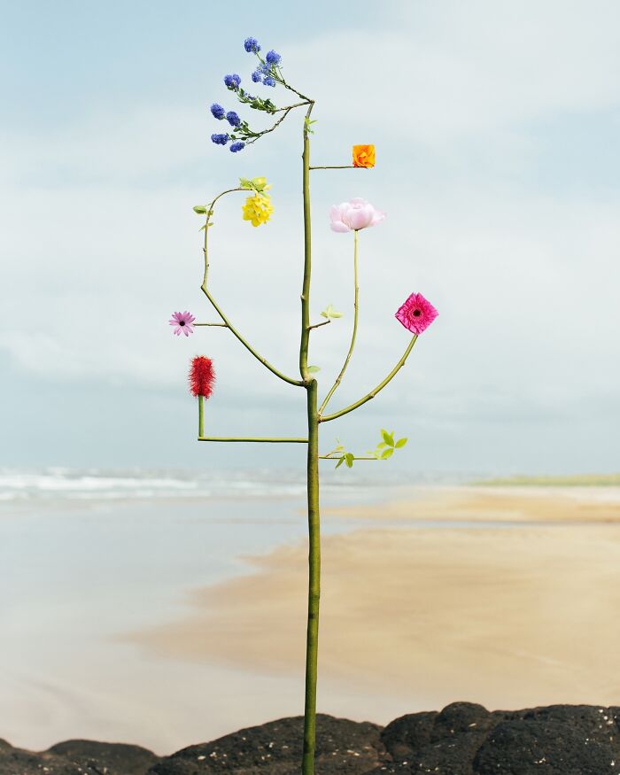 26 Intricate Flower Compositions That Resisted Ephemerality Through Jennifer Latour’s Photography 26 Intricate Flower Compositions That Resisted Ephemerality Through Jennifer Latour’s Photography