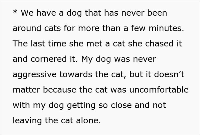 Woman Declines Friend’s Year-Long Cat-Sitting Request, Then Learns She Had Another Option All Along Woman Declines Friend’s Year-Long Cat-Sitting Request, Then Learns She Had Another Option All Along