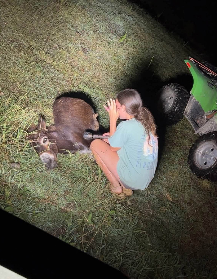 Georgia Cop Reveals Why He Fatally Fired On Baby Donkey As Owner Shares Heartbreaking Clip Of HeeHaw&rsquo;s Last Days
