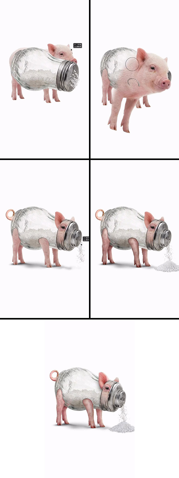 This Artist Creates Absurd Animal Hybrids That Look Like They Came From A Fever Dream (29 Pics)