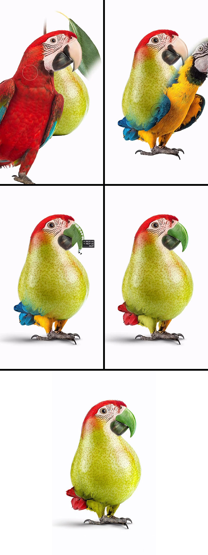 This Artist Creates Absurd Animal Hybrids That Look Like They Came From A Fever Dream (29 Pics)